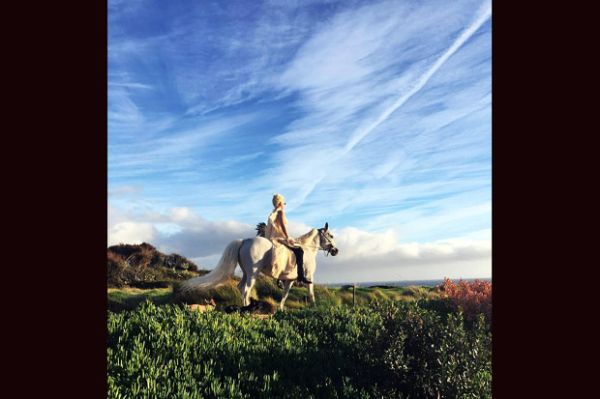 Kuda putih baru Lady Gaga (Instagram)