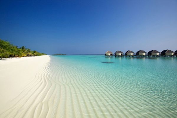 maldives (ytimg.com)