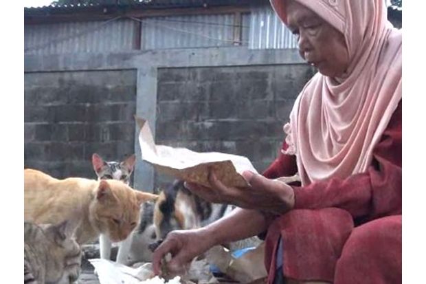 Nenek Sofiyah memberi makan kucing. (MNC Media/Pramono Putra)