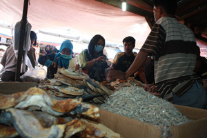Awas, di Bogor beredar ikan busuk berformalin