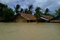 Banjir di Banten masih belum surut