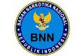 BNN wacanakan pengadilan khusus narkoba