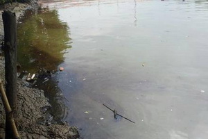 Buang limbah di Cisadane, 246 industri di Tangerang diawasi