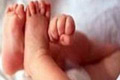 1 dari 5 bayi kembar meninggal dunia