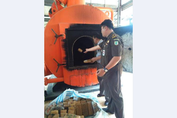 866 Kilogram Ganja Dimusnahkan di Tangerang