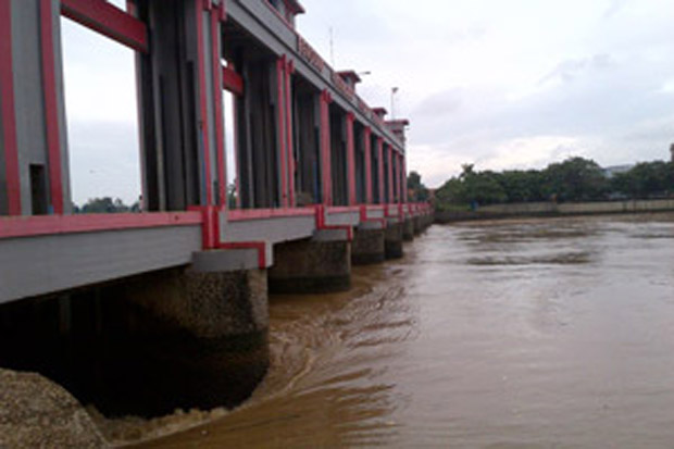 Kemarau, Sungai Cisadane Masuki Masa Kritis