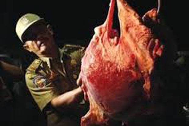 Polisi Sita 1 Ton Daging Celeng di Bekasi