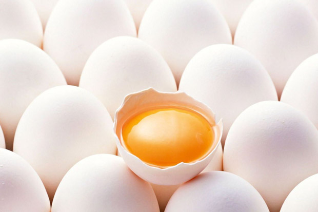 Terbongkar, Telur Engkong Naim Ternyata Telur Ayam