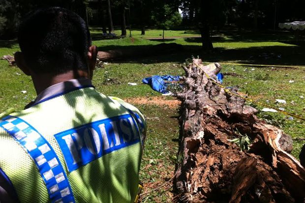 Korban Tewas Pohon Maut Kebon Raya Bogor Jadi 6 Orang