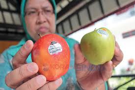 Waspada, Buah Impor Berformalin Beredar di Bogor