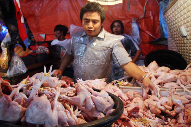 Warga Protes Rumah Pemotongan Ayam di Cinere