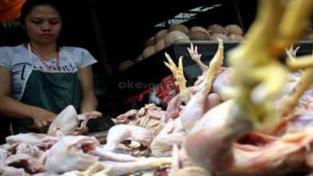 Ternyata Rumah Pemotongan Ayam di Cinere Ilegal