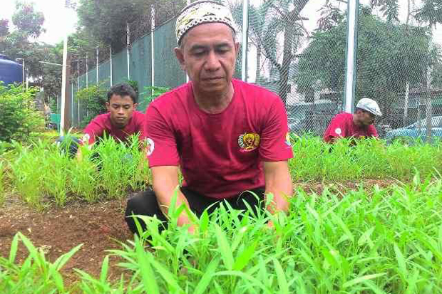 Ikut Pelatihan Bertani, Warga Binaan Siap Perbaiki Nasib