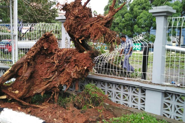 Hujan Deras, Pohon Tumbang dan Sekolah Ambruk di Tangsel