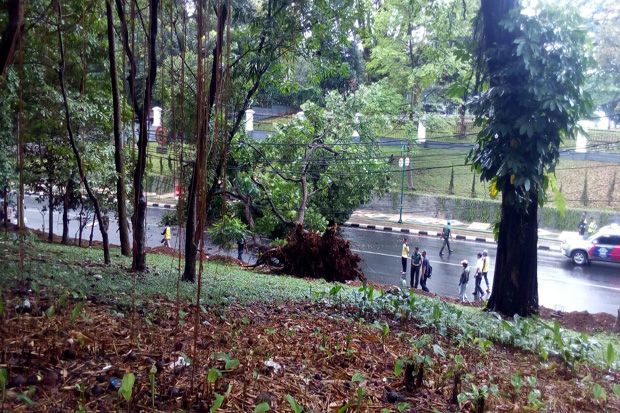 Bogor Memasuki Musim Pancaroba, BPBD: Potensi Bencana Tinggi