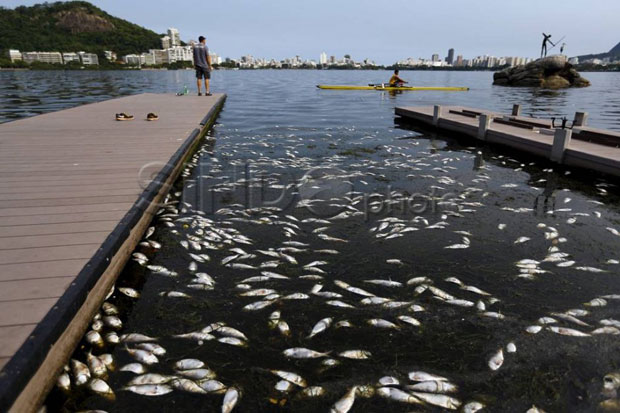 Ribuan Ikan di Bogor Mati Mendadak Diduga Tercemar Limbah