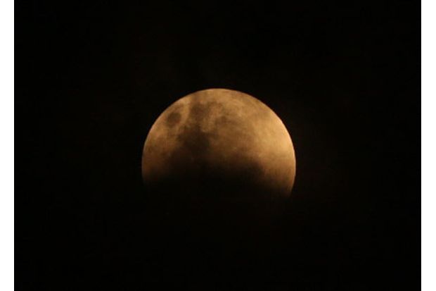 Meski Samar, Pengunjung Planetarium Bersorak Lihat Blood Moon