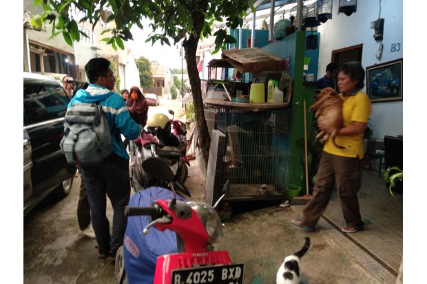 Diprotes Warga, 7 Ekor Anjing Milik Perempuan Bercadar Dipindahkan