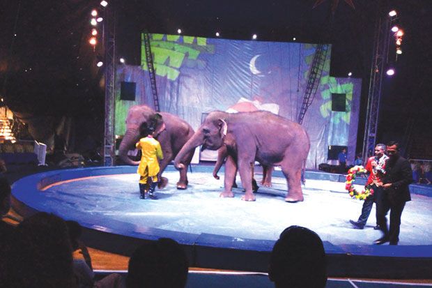Pertunjukan Oriental Circus Ramaikan Liburan Sekolah