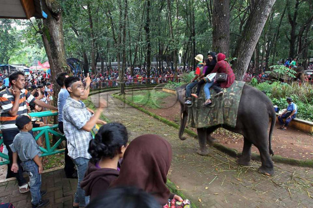 Taman Margasatwa Ragunan Dipadati 109.651 Pengunjung