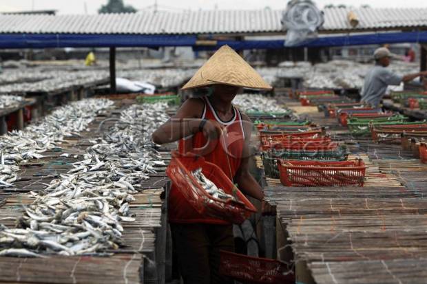 IPB Sebut Ikan dari Teluk Jakarta Tak Layak Dikonsumsi