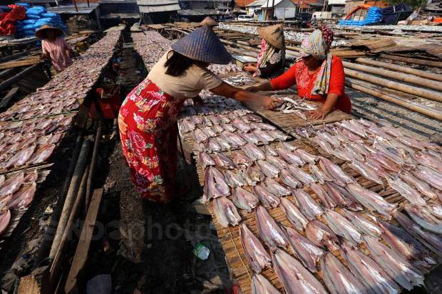 Pencemaran dan Sampah Sebabkan Ikan Teluk Jakarta Beracun