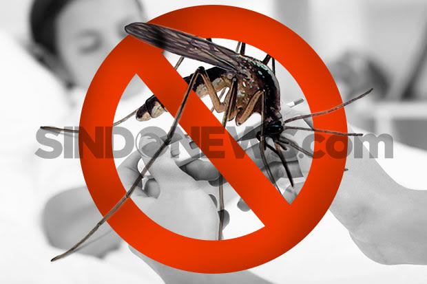 10 Warga Depok Terbaring Lemas Terserang Chikungunya