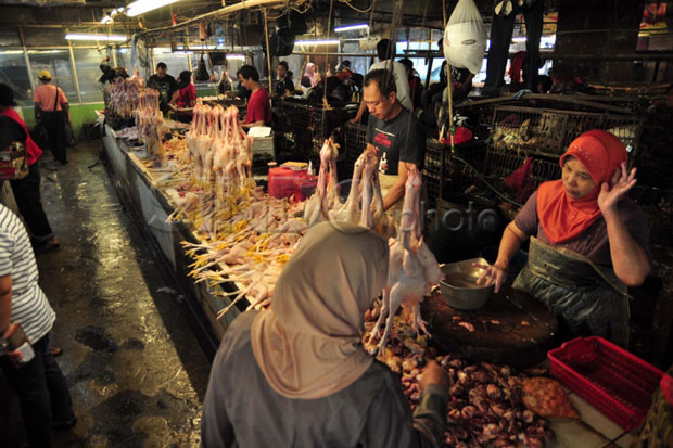 Pantau Pasar Tradisional, DKI Pastikan Harga Daging Sapi dan Ayam Stabil