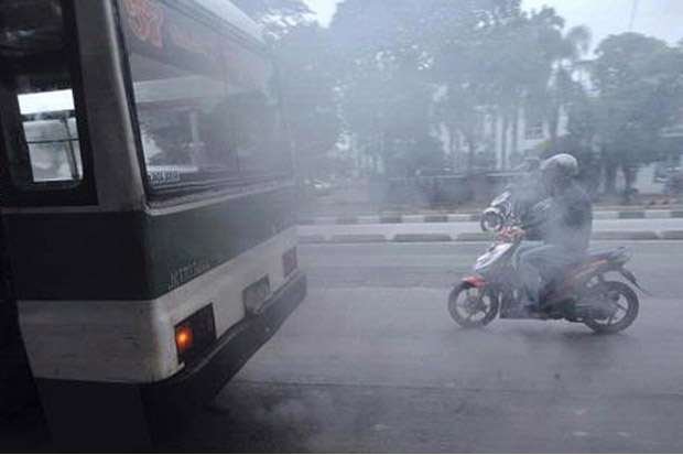 Bantu Kurangi Polusi Udara, Dinas KPKP DKI Akan Tanam Lidah Mertua