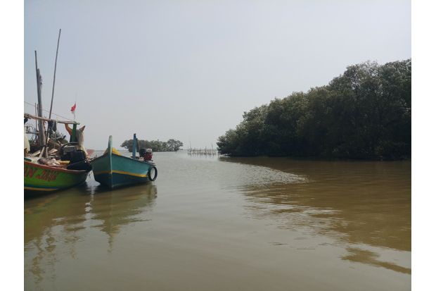 2.200 Nelayan Kabupaten Bekasi Terdampak Tumpahan Minyak