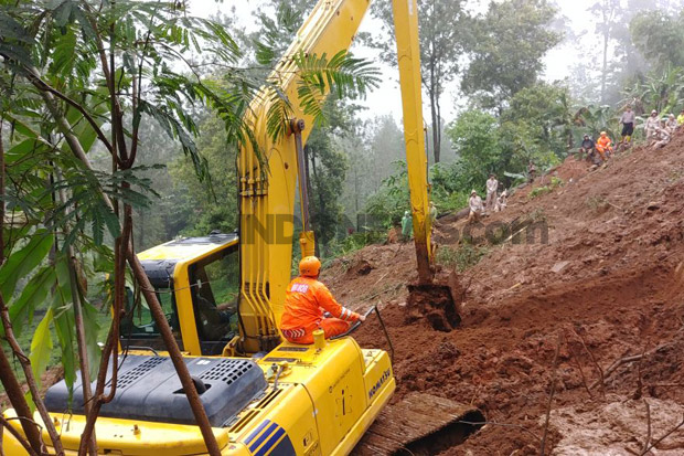 Bogor Mulai Diguyur Hujan, Warga Diminta Waspadai Pohon Tumbang dan Longsor
