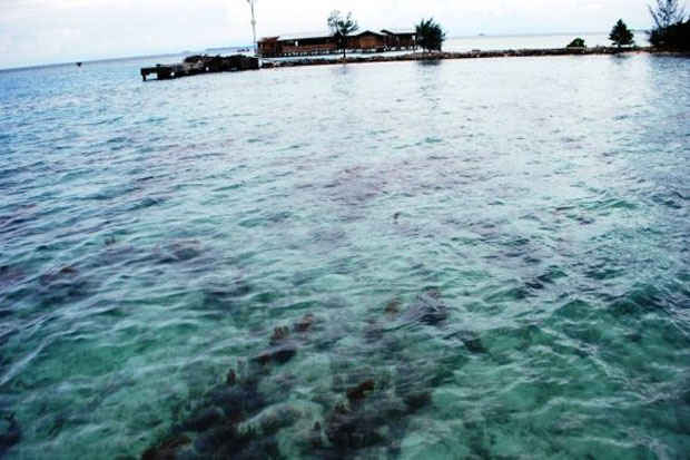 DKI Dorong Kepulauan Seribu Jadi Pusat Wisata Konservasi Bawah Laut