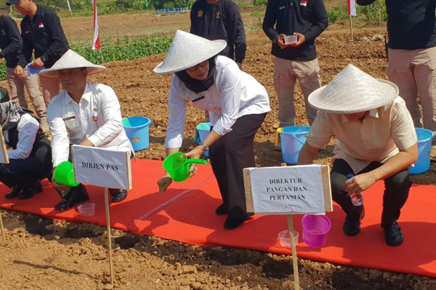 Lapas Ciangir Tangerang Buka 15 Hektare Lahan Budidaya Jagung