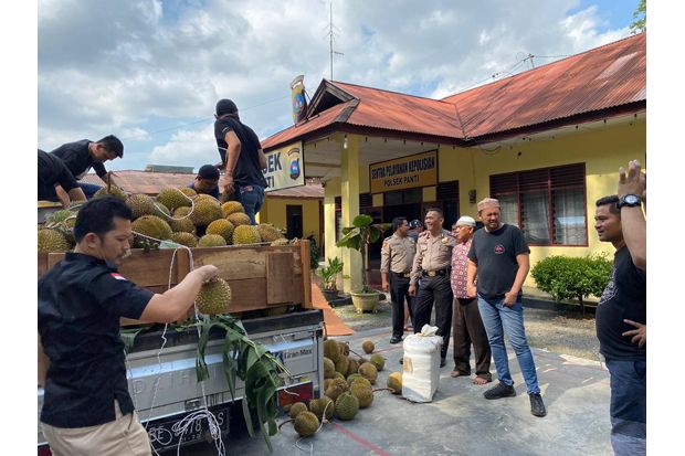 Geledah Mobil Pengangkut Durian, Polres Jakbar Temukan 245 Kg Ganja